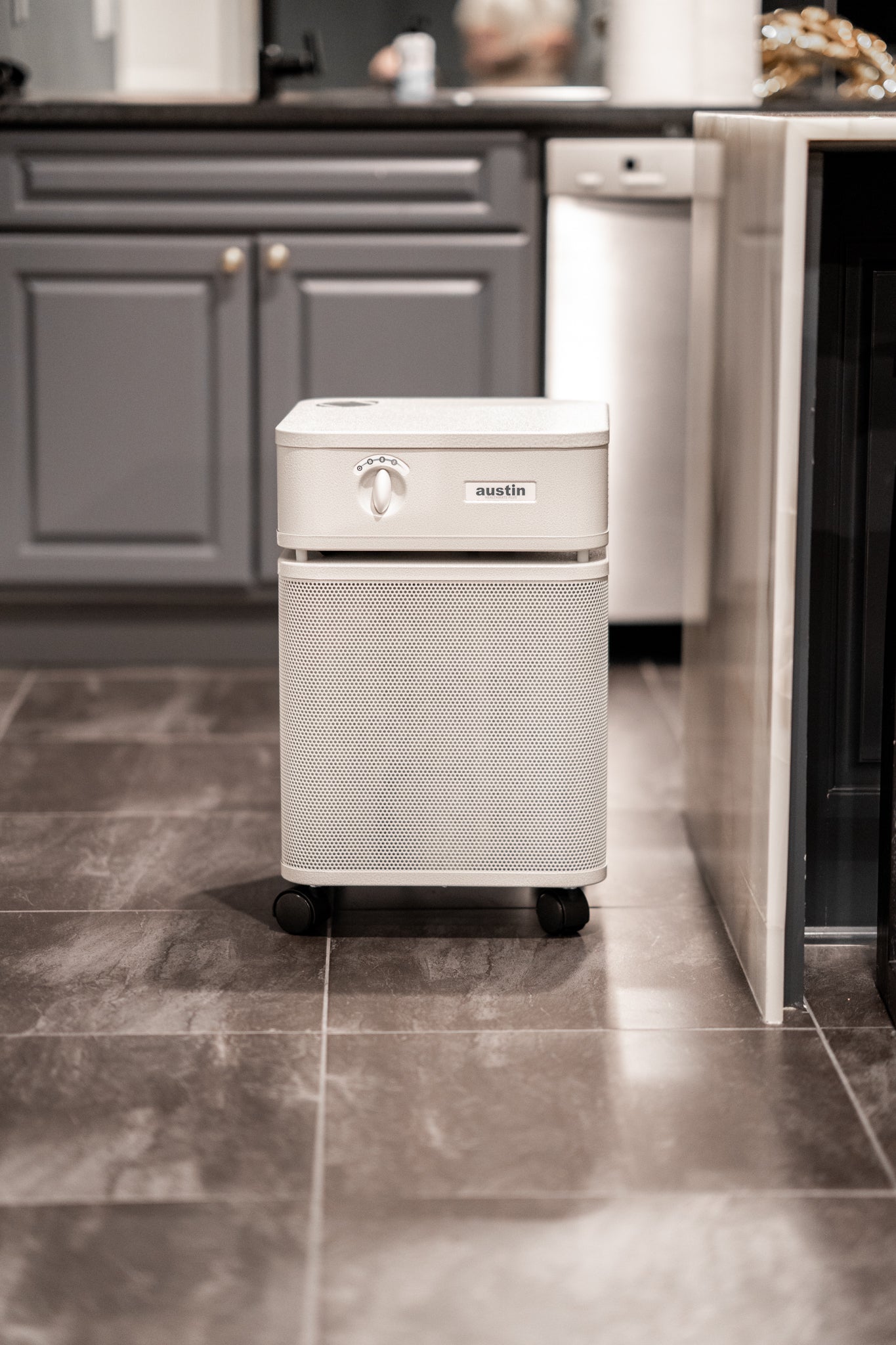 Austin Air Healthmate System