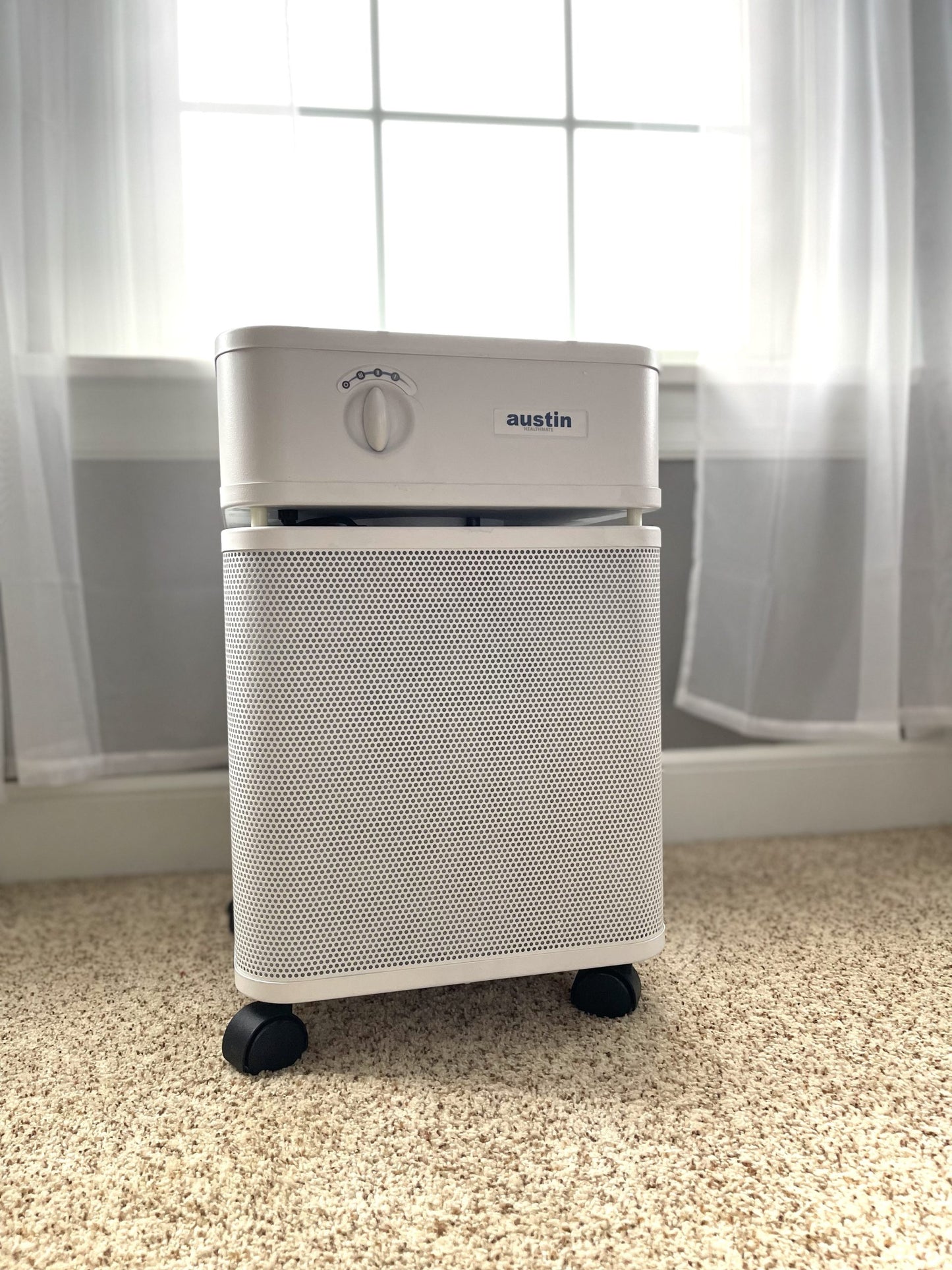 Austin Air Healthmate System