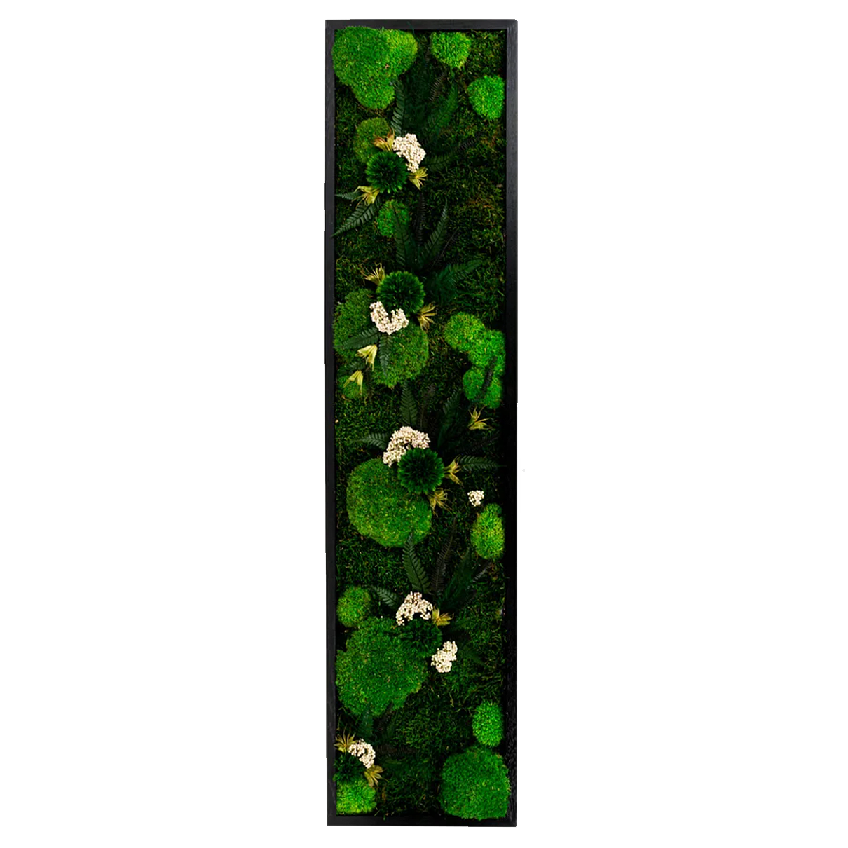 Fern Moss Wall Art with LED Frame Lighting