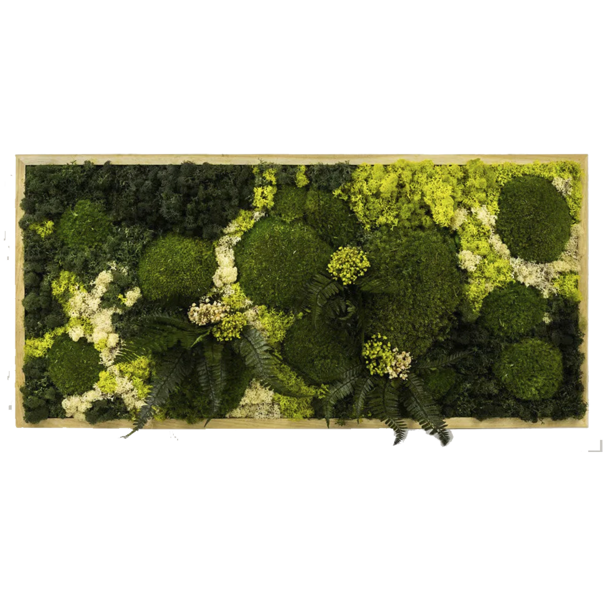 Preserved Mix Moss Wall Art with LED Light