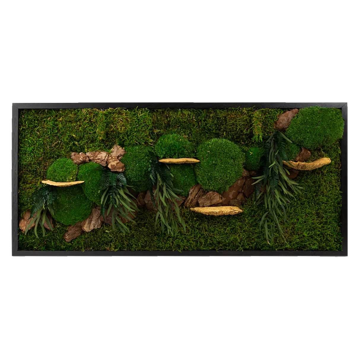 Moss + Wood Foliage Wall Art with LED Light