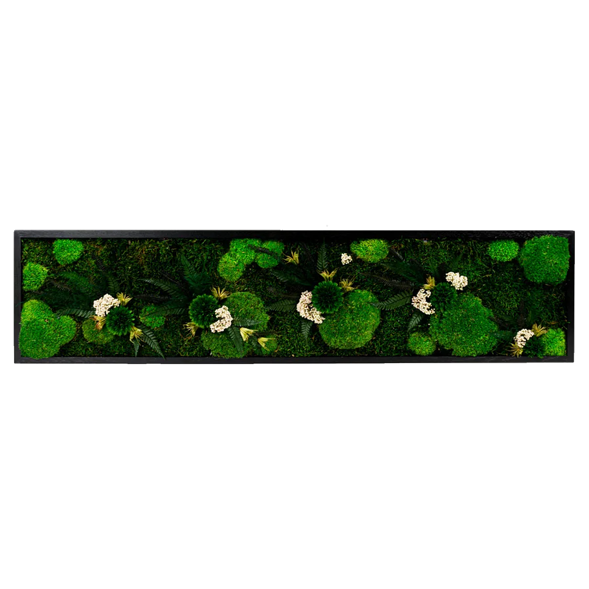 Fern Moss Wall Art with LED Frame Lighting
