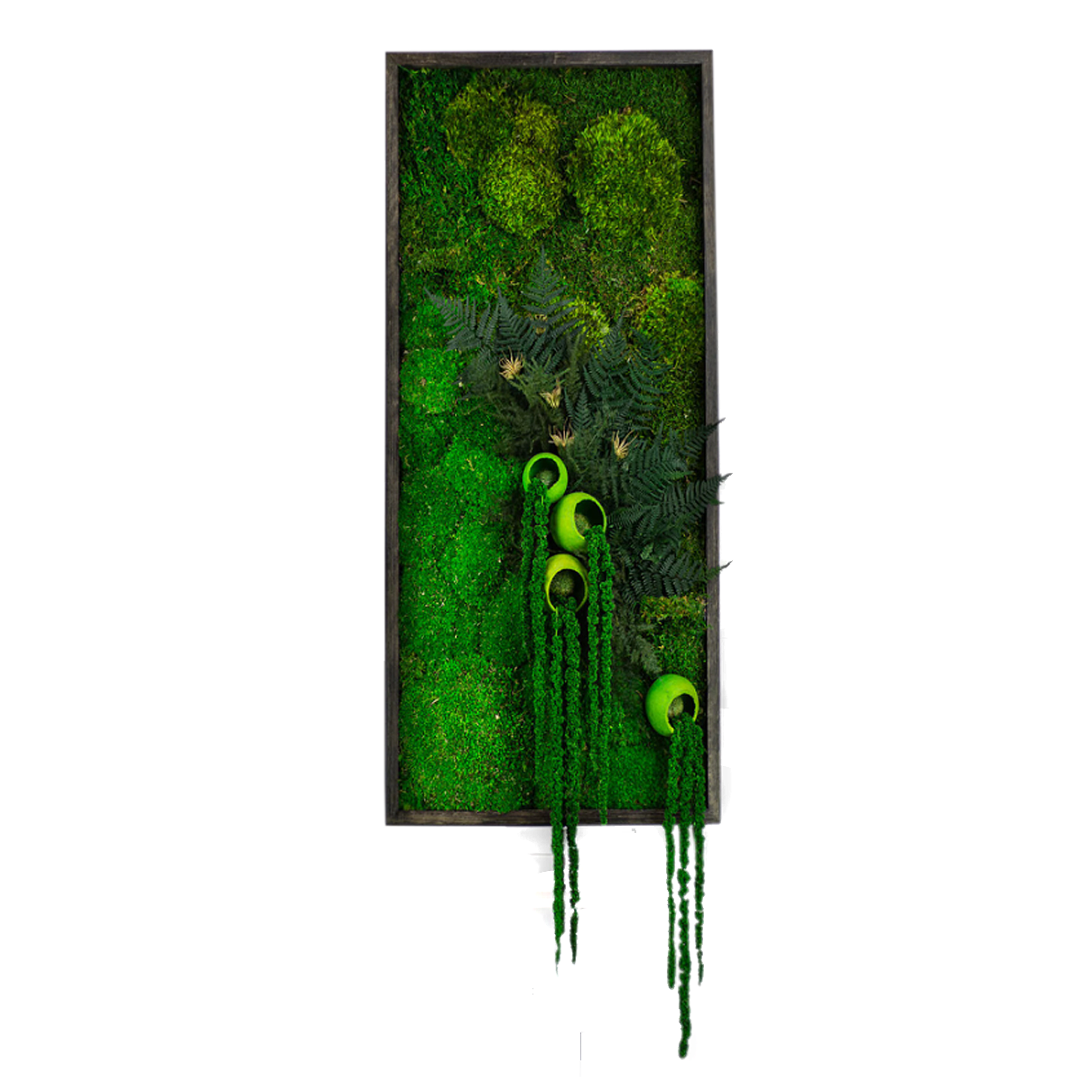 Colorfull art: Amazing Art, Wall Art Preserved, Moss Lighted Moss