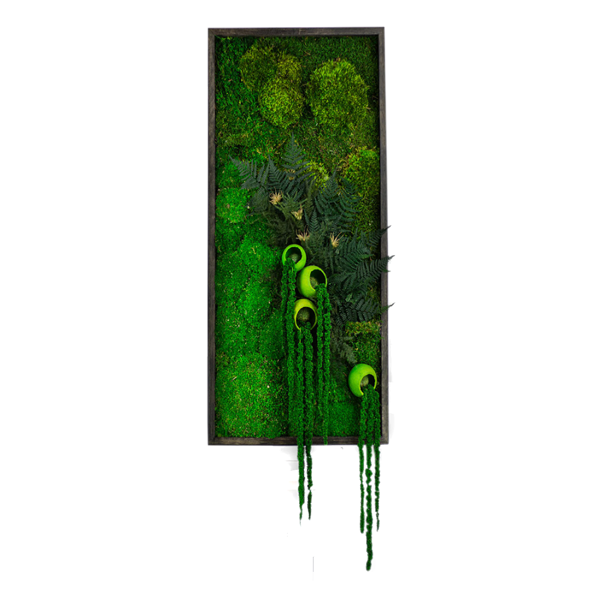 Moss + Hanging Ferns Wall Art with LED Light