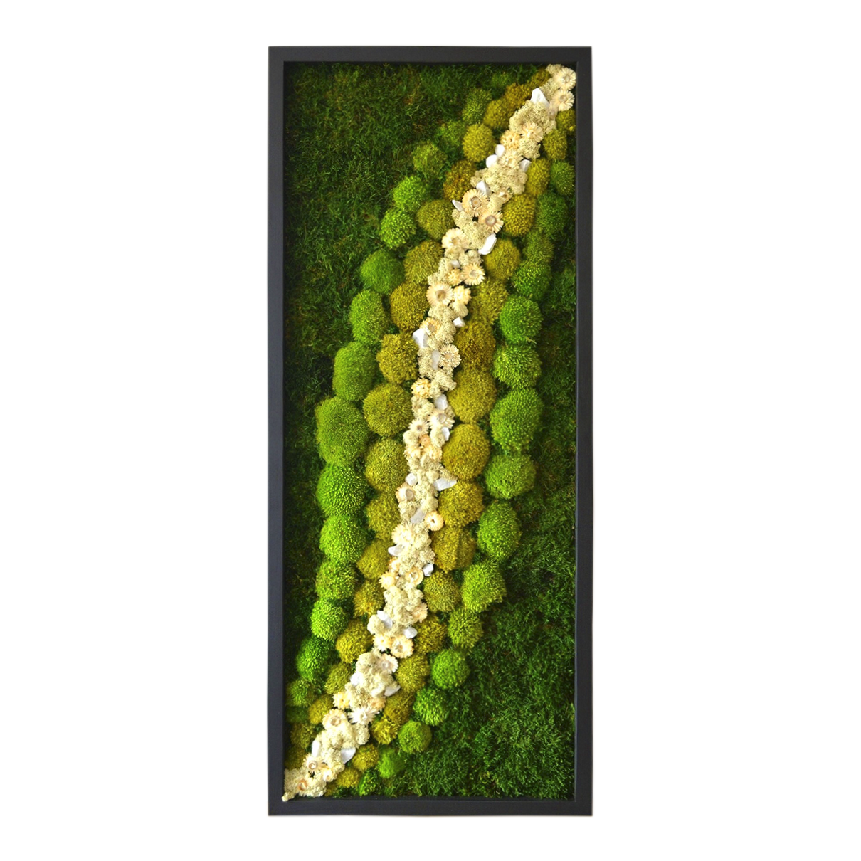 Dried White Flowers Moss Pathway Wall Art