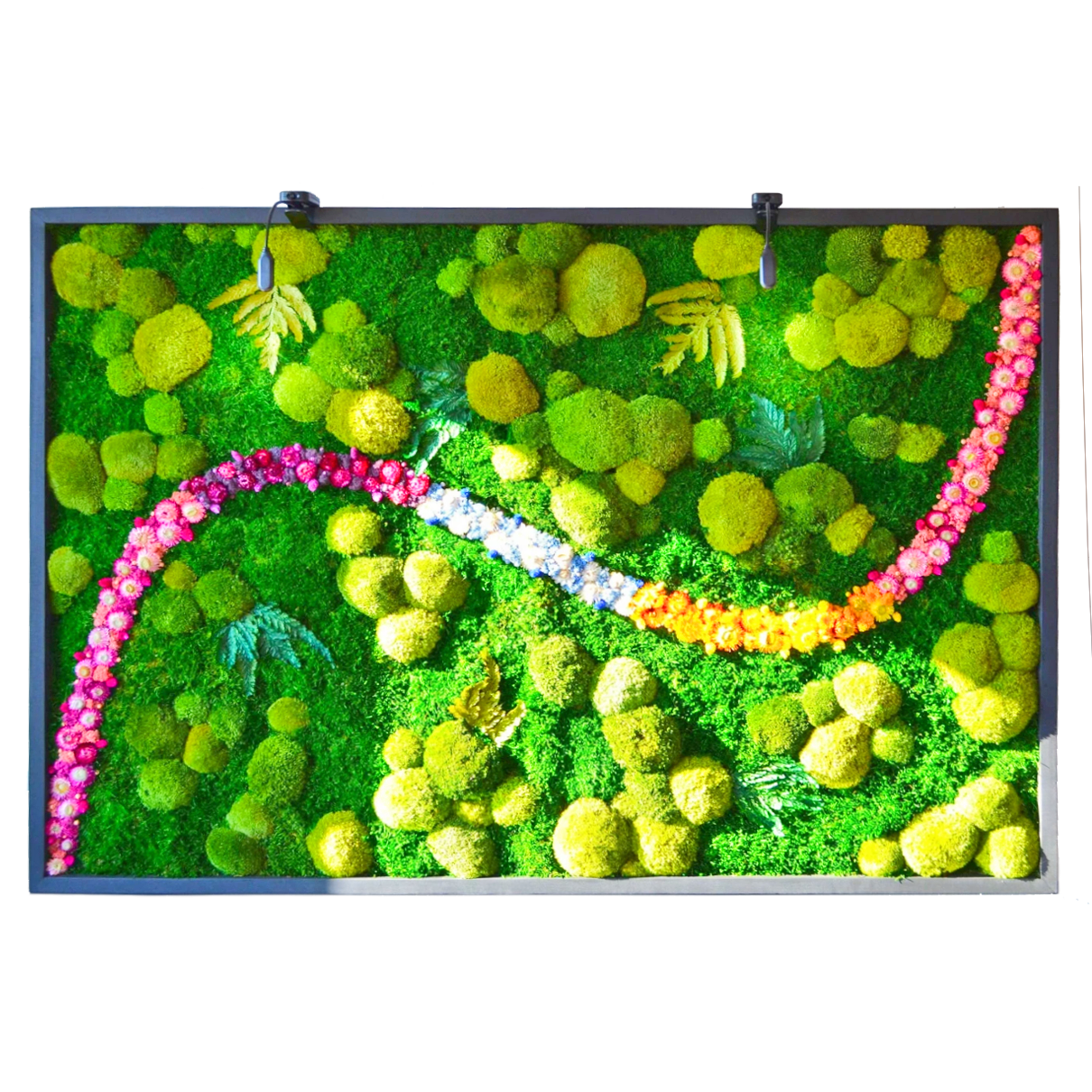 Colorful Moss Balls and Flowers Wall Art with LED Light