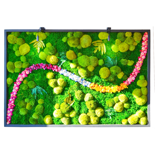 Colorful Moss Balls and Flowers Wall Art with LED Light