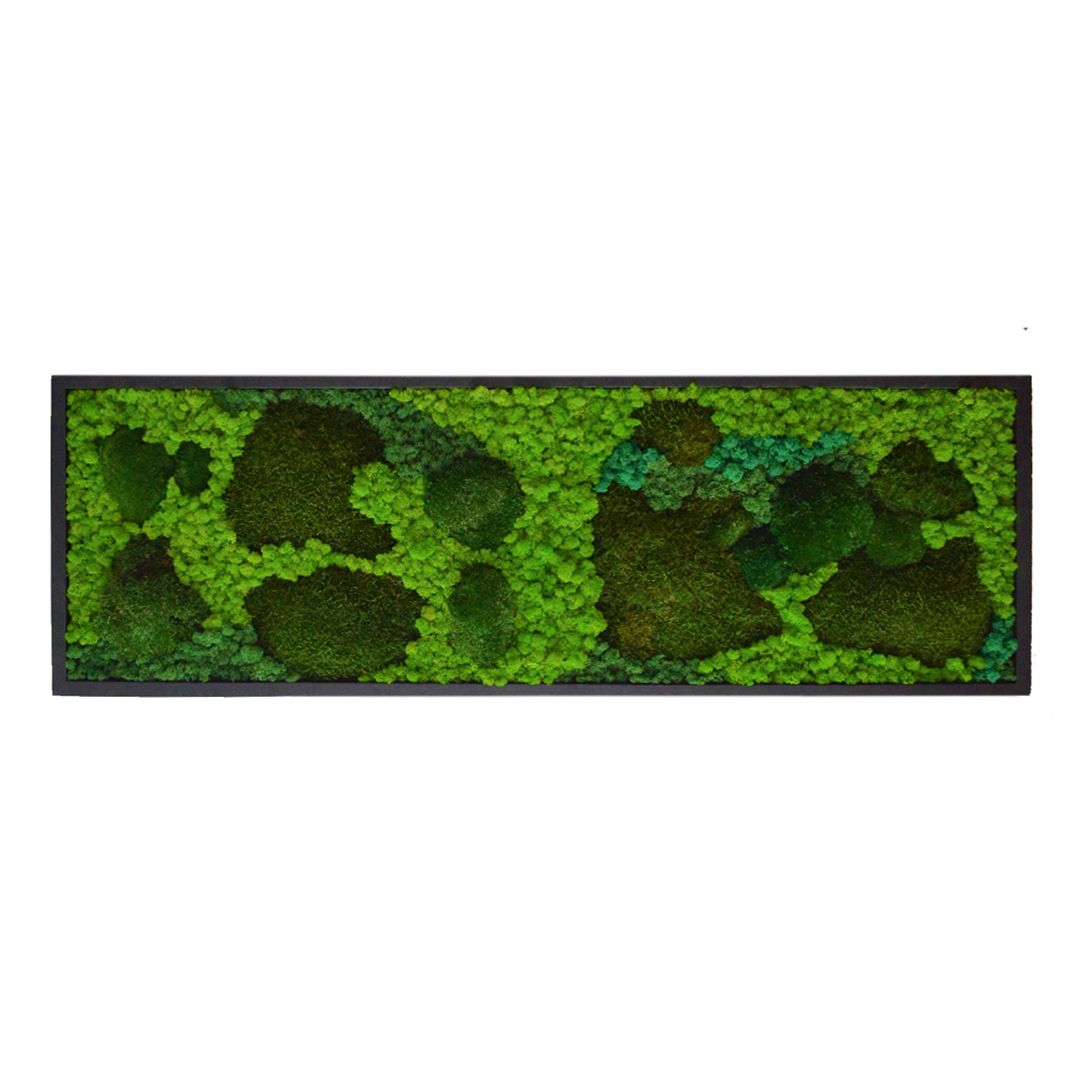 Dark Green Moss Wall Art