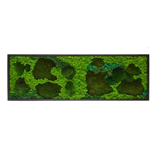 Dark Green Moss Wall Art