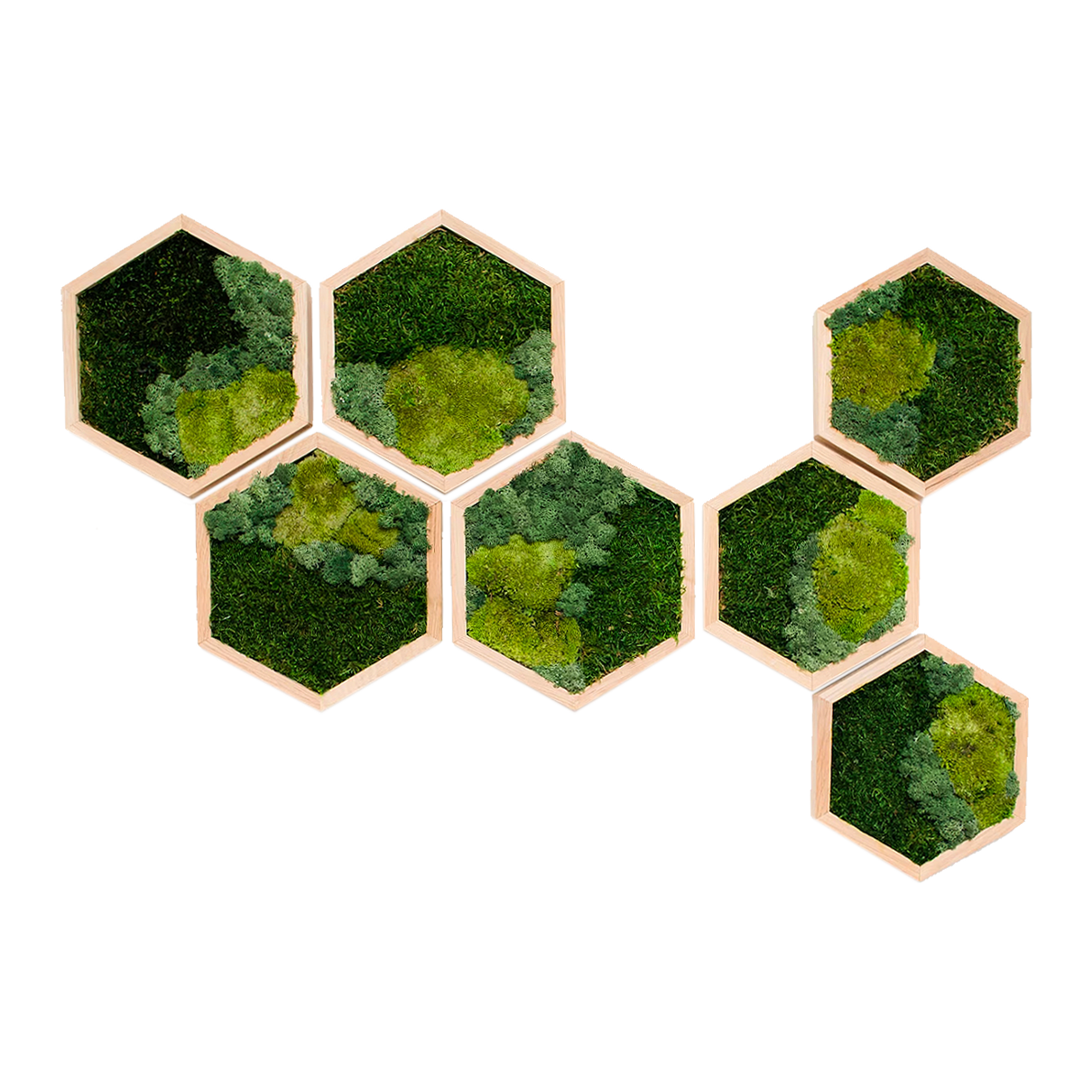 Honeycomb Tri Mix Moss Wall Art with LED Light 7pcs
