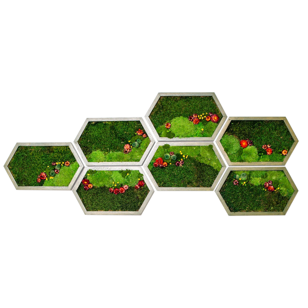Wide Honeycomb Moss and Flowers Wall Art with LED Frame Lighting