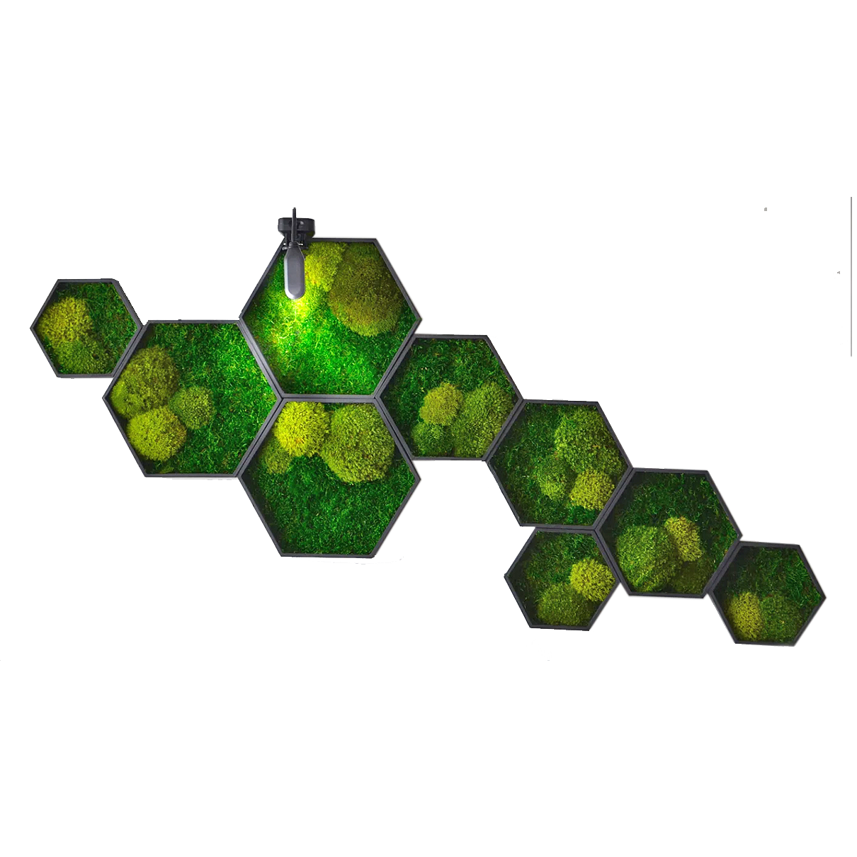 Hexagon Harmony Moss Wall Art
