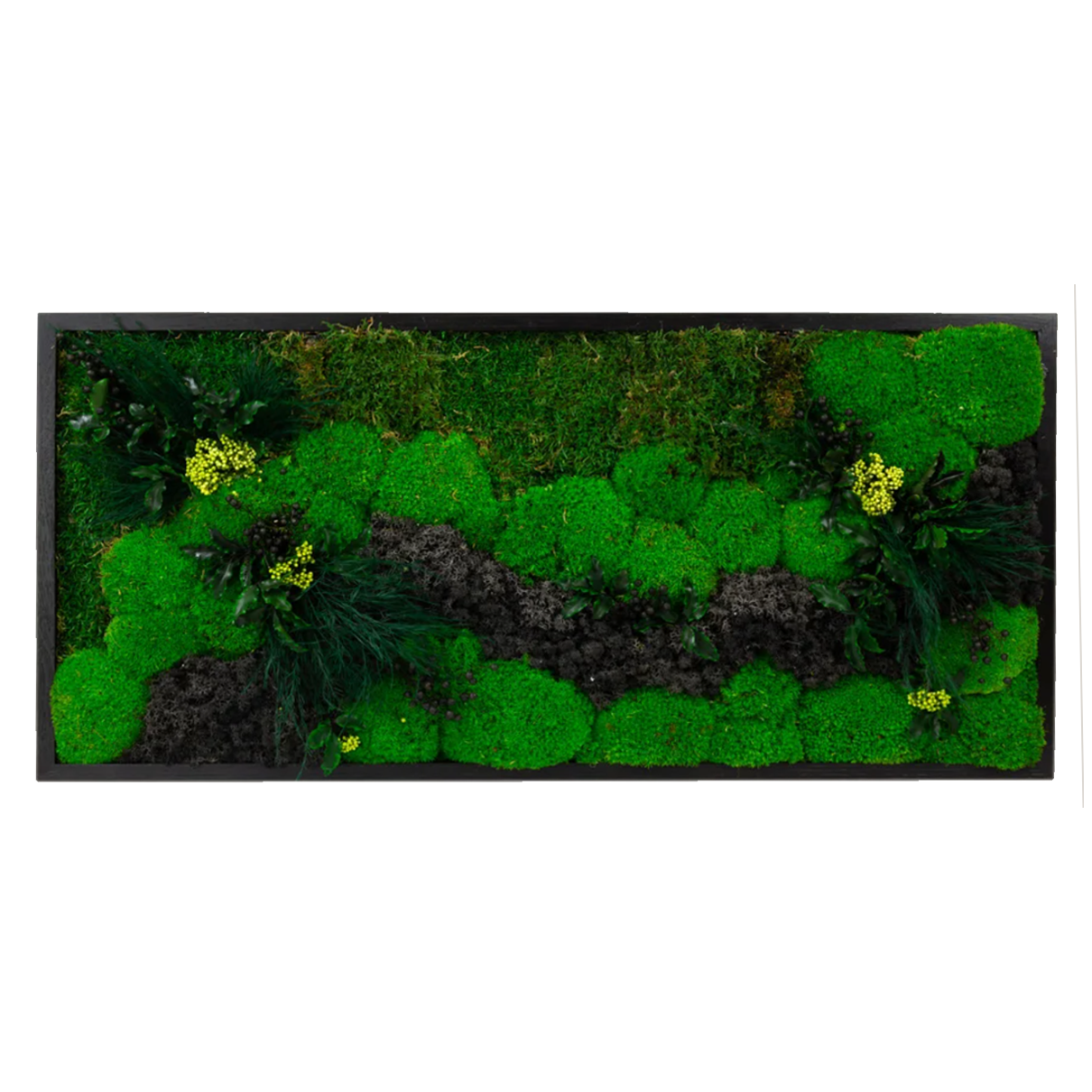 Moss + Foliage Wall Art with LED Light