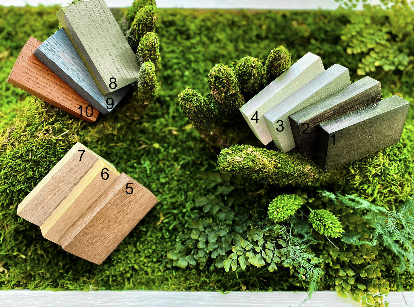 Moss + Wood Foliage Wall Art with LED Light