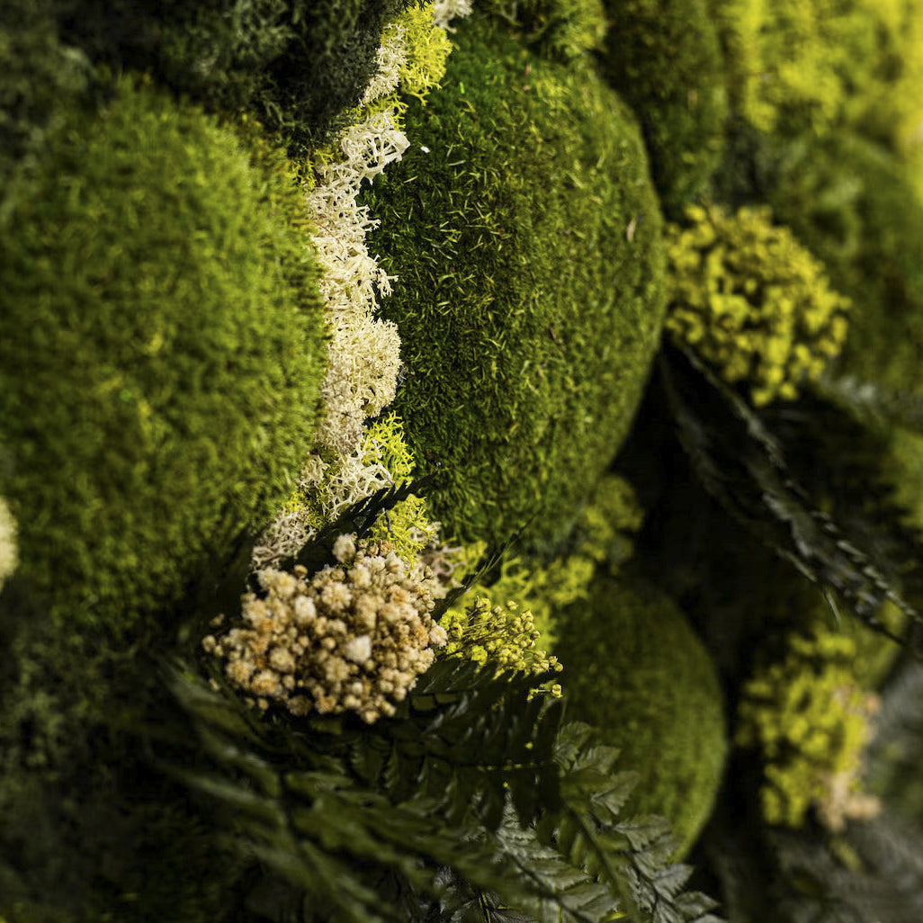 Preserved Mix Moss Wall Art with LED Light