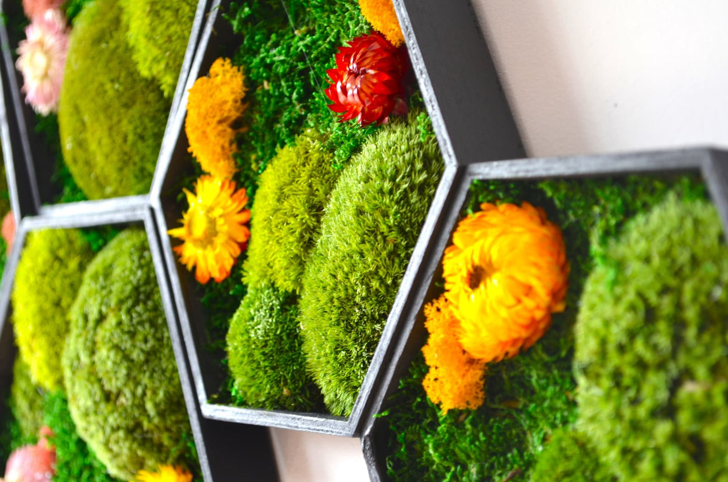 Honeycomb Flower Moss Art 9pc.