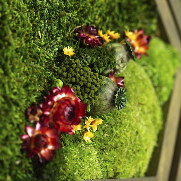 Wide Honeycomb Moss and Flowers Wall Art with LED Frame Lighting