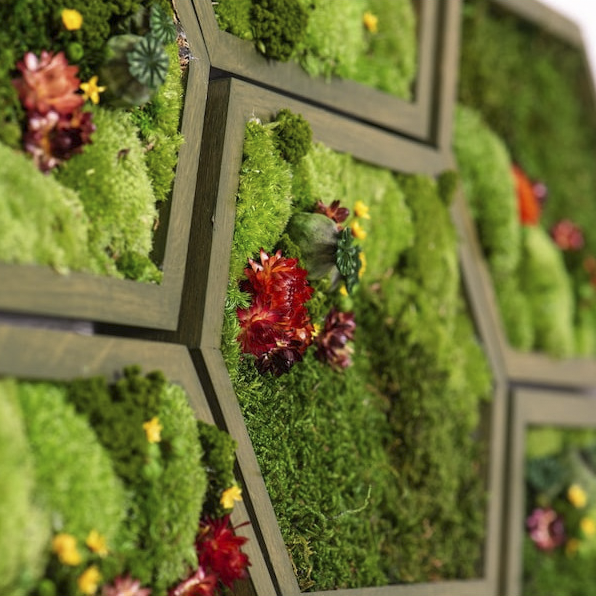 Wide Honeycomb Moss and Flowers Wall Art with LED Frame Lighting