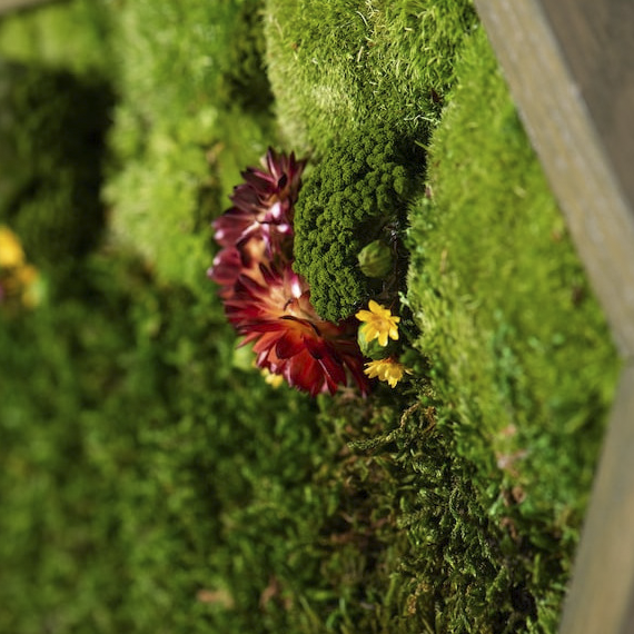 Wide Honeycomb Moss and Flowers Wall Art with LED Frame Lighting