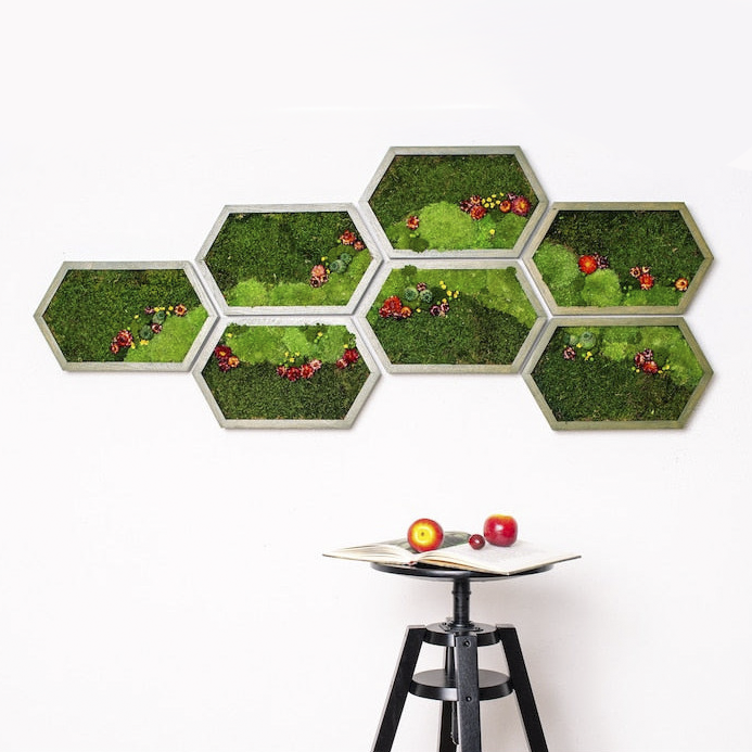 Wide Honeycomb Moss and Flowers Wall Art with LED Frame Lighting