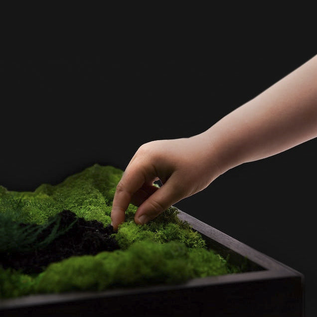Moss + Purple Flower Wall Art with LED Light