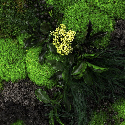 Moss + Foliage Wall Art with LED Light