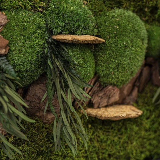 Moss + Wood Foliage Wall Art with LED Light