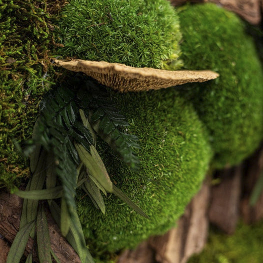 Moss + Wood Foliage Wall Art with LED Light