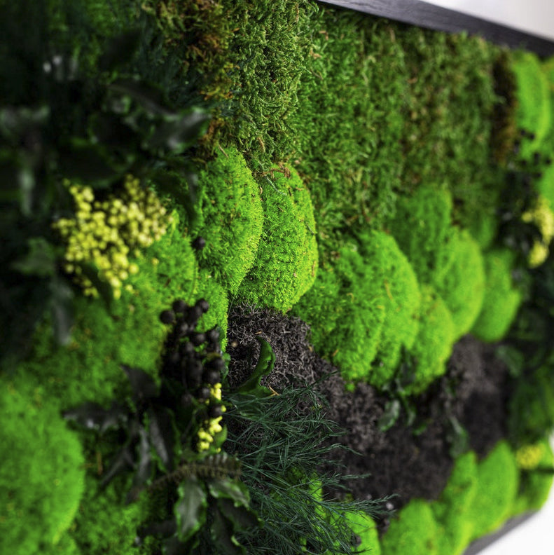 Moss + Foliage Wall Art with LED Light