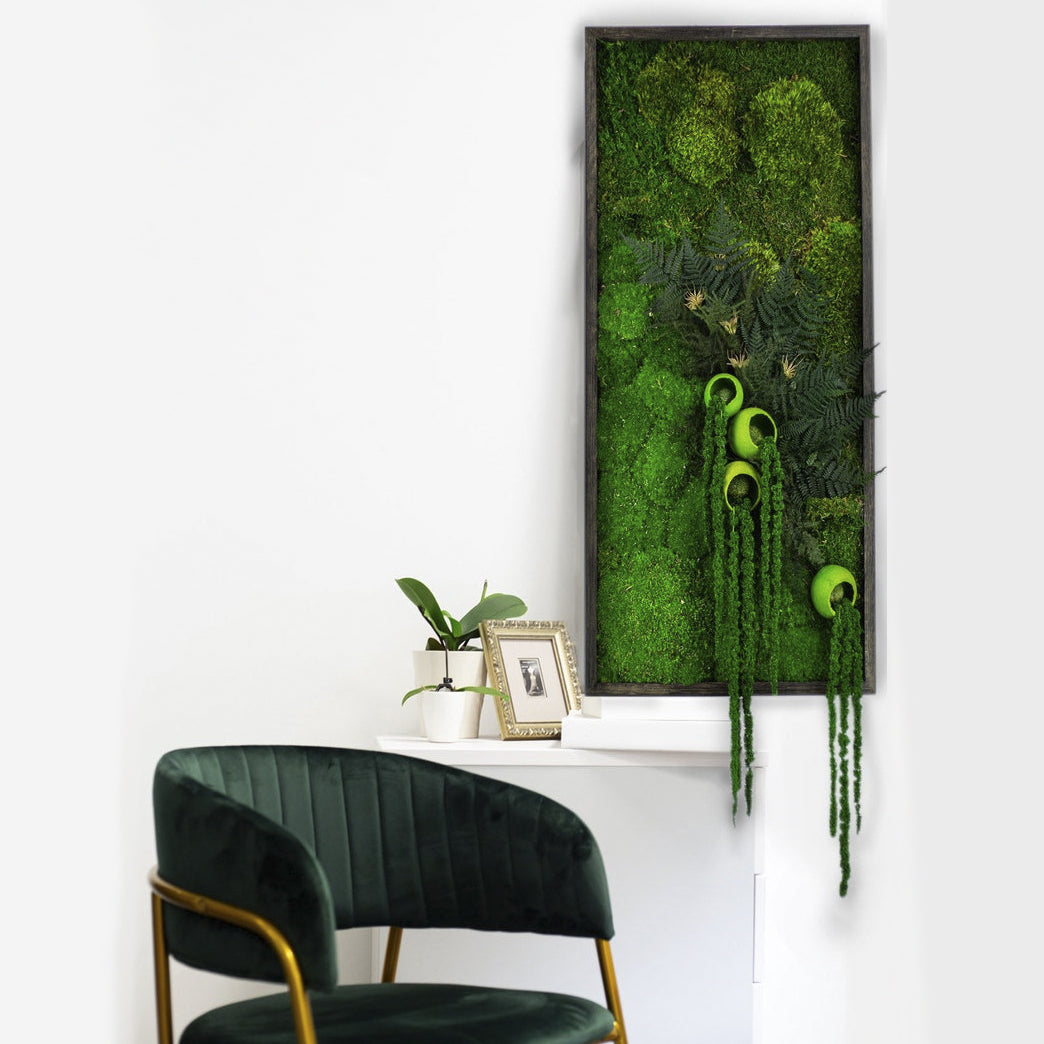 Moss + Hanging Ferns Wall Art with LED Light