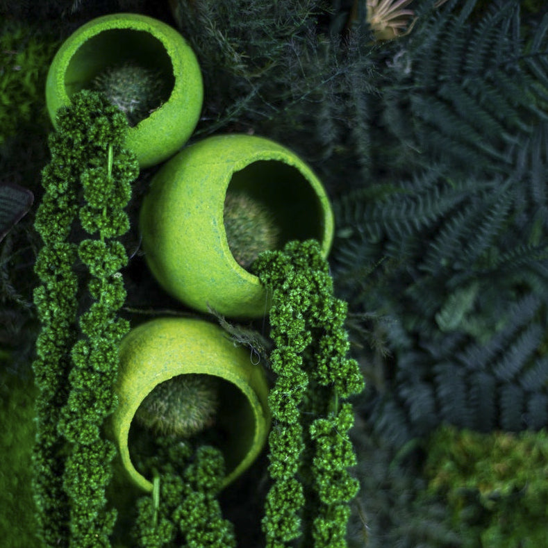 Moss + Hanging Ferns Wall Art with LED Light