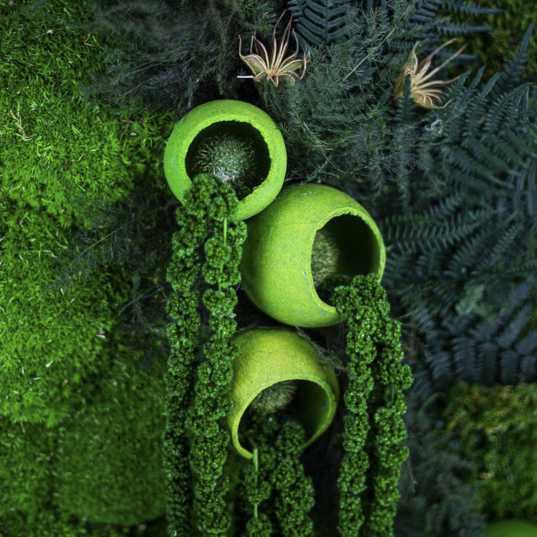 Moss + Hanging Ferns Wall Art with LED Light