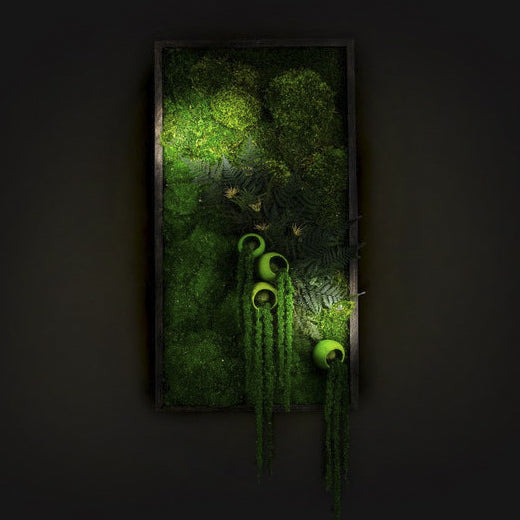 Moss + Hanging Ferns Wall Art with LED Light
