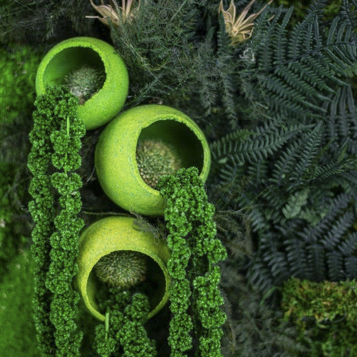 Moss + Hanging Ferns Wall Art with LED Light