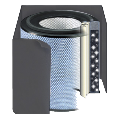 Austin Air HealthMate Plus Standard Filter