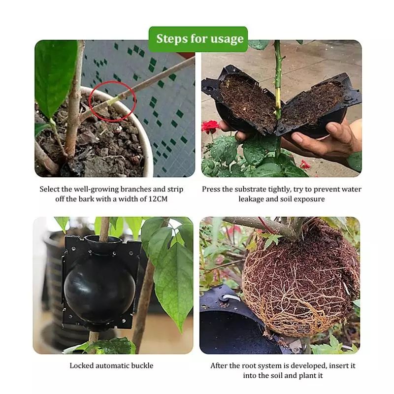 Essential Propagation Balls 10pcs
