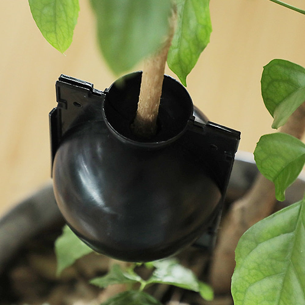 Essential Propagation Balls 10pcs