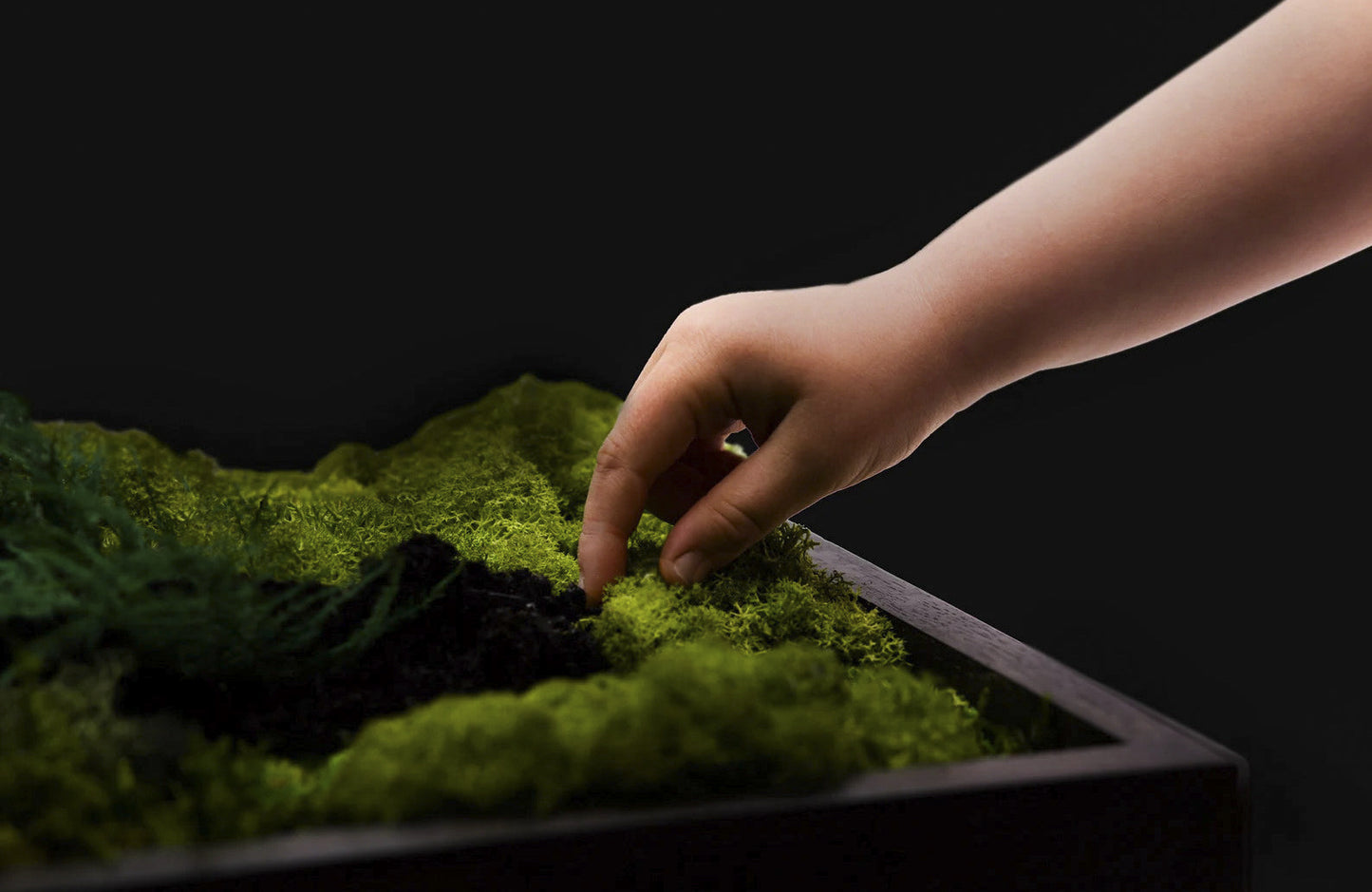 Fern Moss Wall Art with LED Frame Lighting - Bright America LLC