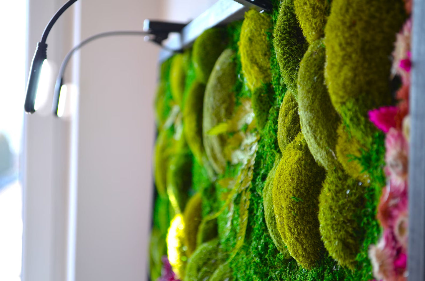 Colorful Moss Balls and Flowers Wall Art with LED Light