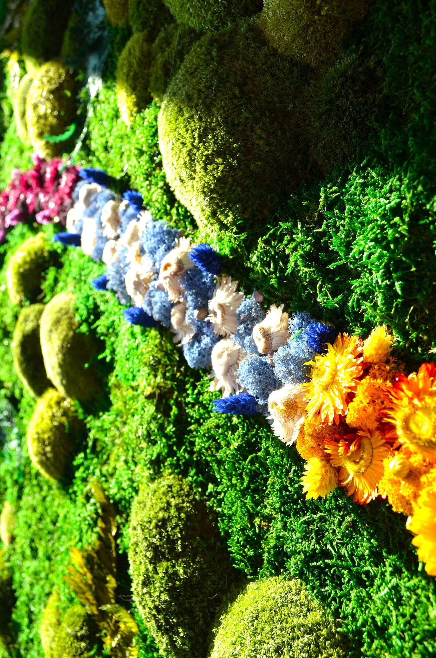 Colorful Moss Balls and Flowers Wall Art with LED Light