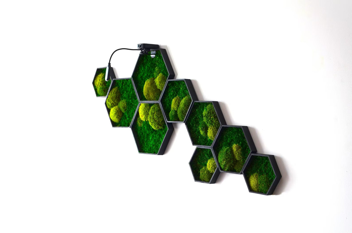 Hexagon Harmony Moss Wall Art