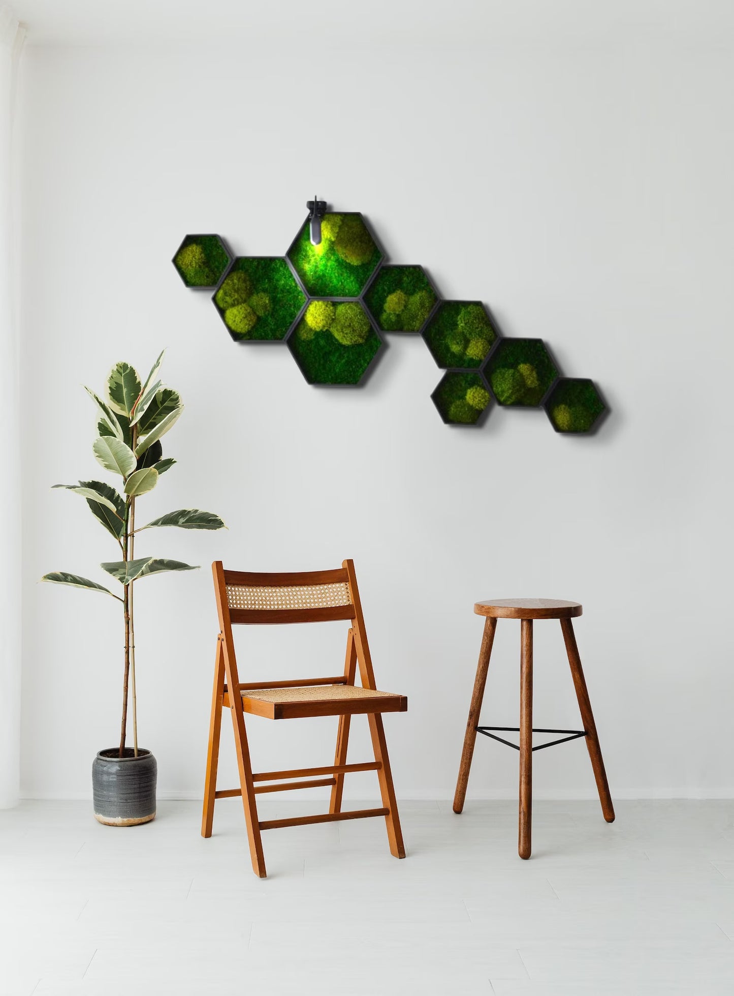 Hexagon Harmony Moss Wall Art