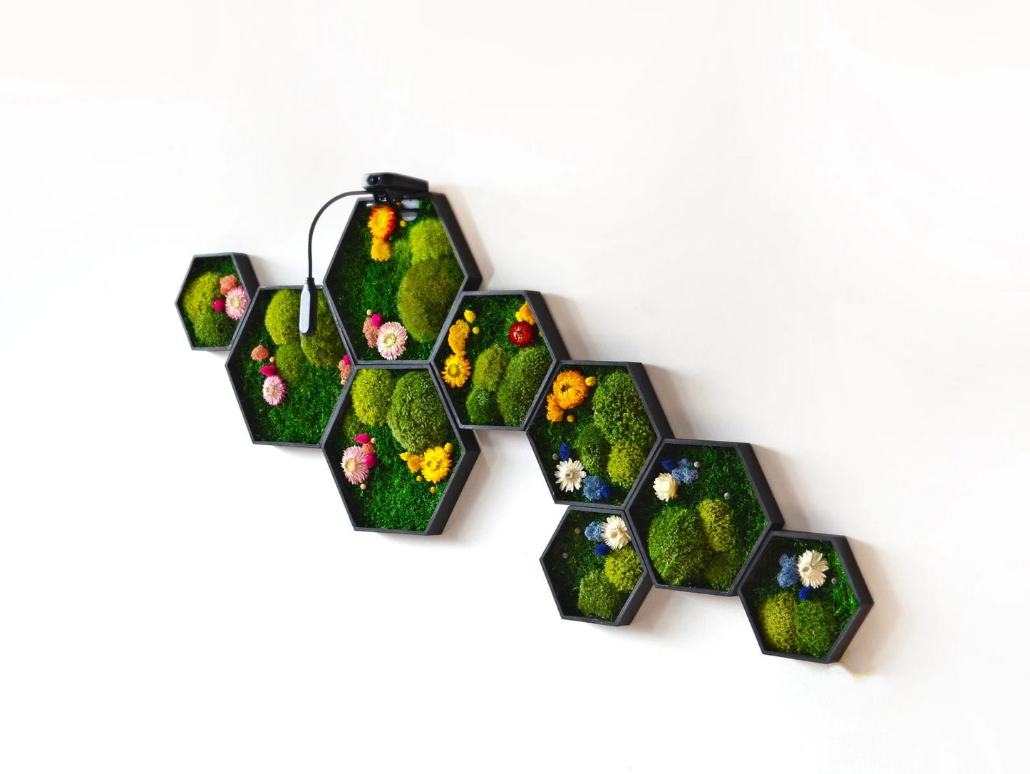 Honeycomb Flower Moss Art 9pc.