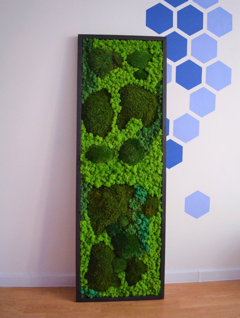 Dark Green Moss Wall Art - Bright America LLC