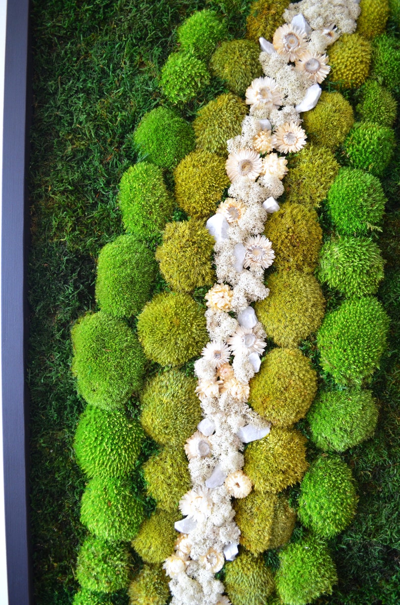 Wide Green Moss + Dried White Flowers Wall Art - Bright America LLC