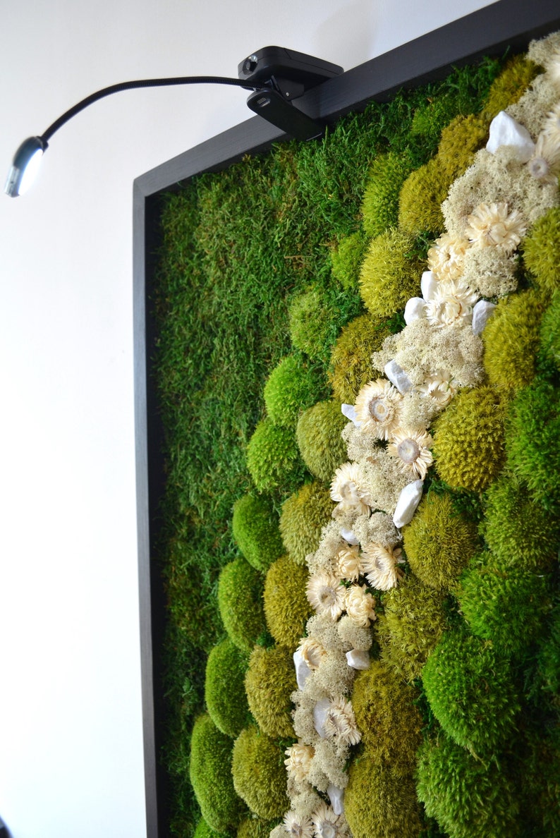 Wide Green Moss + Dried White Flowers Wall Art - Bright America LLC