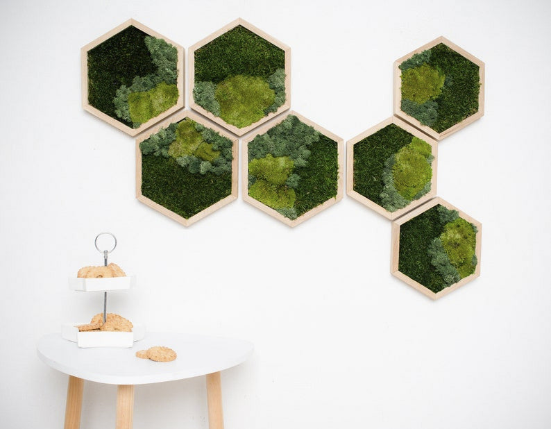 Honeycomb Tri Mix Moss Wall Art with LED Light 7pcs
