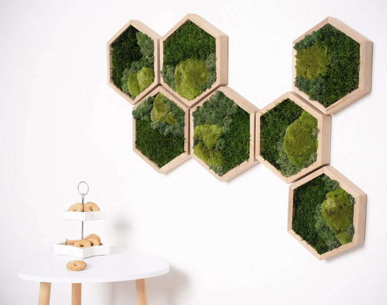 Honeycomb Tri Mix Moss Wall Art with LED Light 7pcs