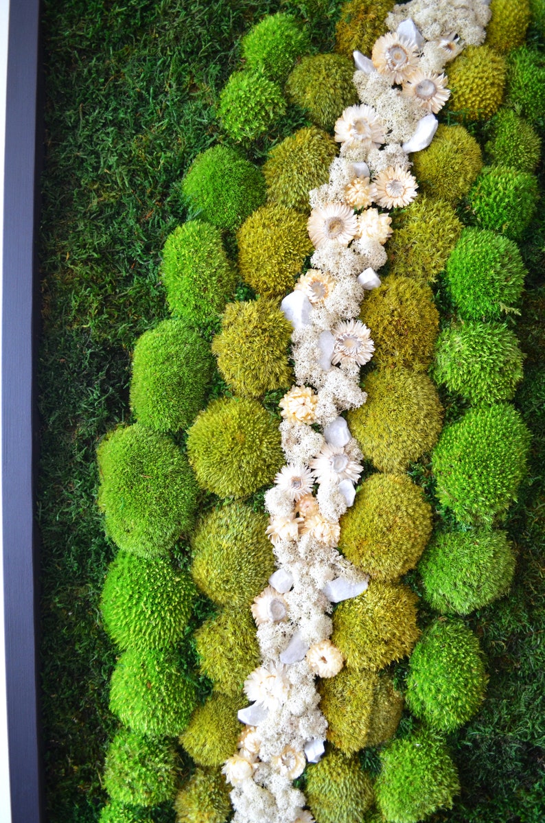 Dried White Flowers Moss Pathway Wall Art – Bright America LLC